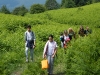CAMPO-ESTIVO-2013-662