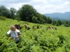 CAMPO-ESTIVO-2013-669