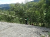 IMG_06090