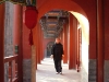 viaggio-cina-maestro-40