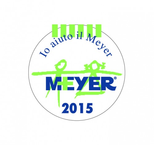 IoAiutoMeyer2015